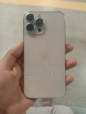 Apple iPhone 13 Pro Max . (Used)