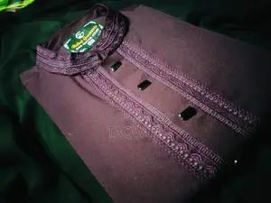 premuim embroidery punjabi