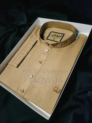 premuim embroidery punjabi