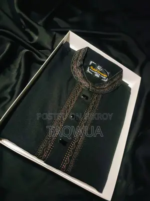 premuim embroidery punjabi