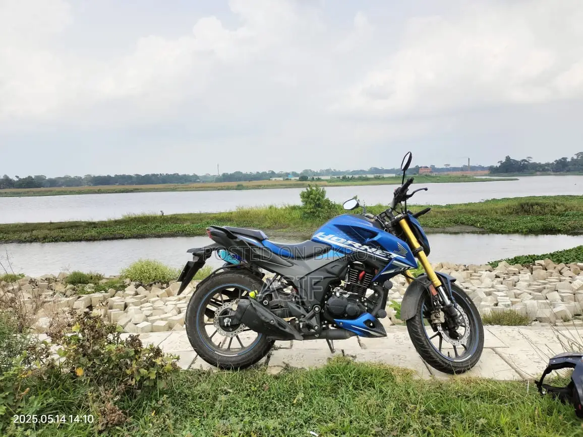 Honda Hornet 2.0 . 2024