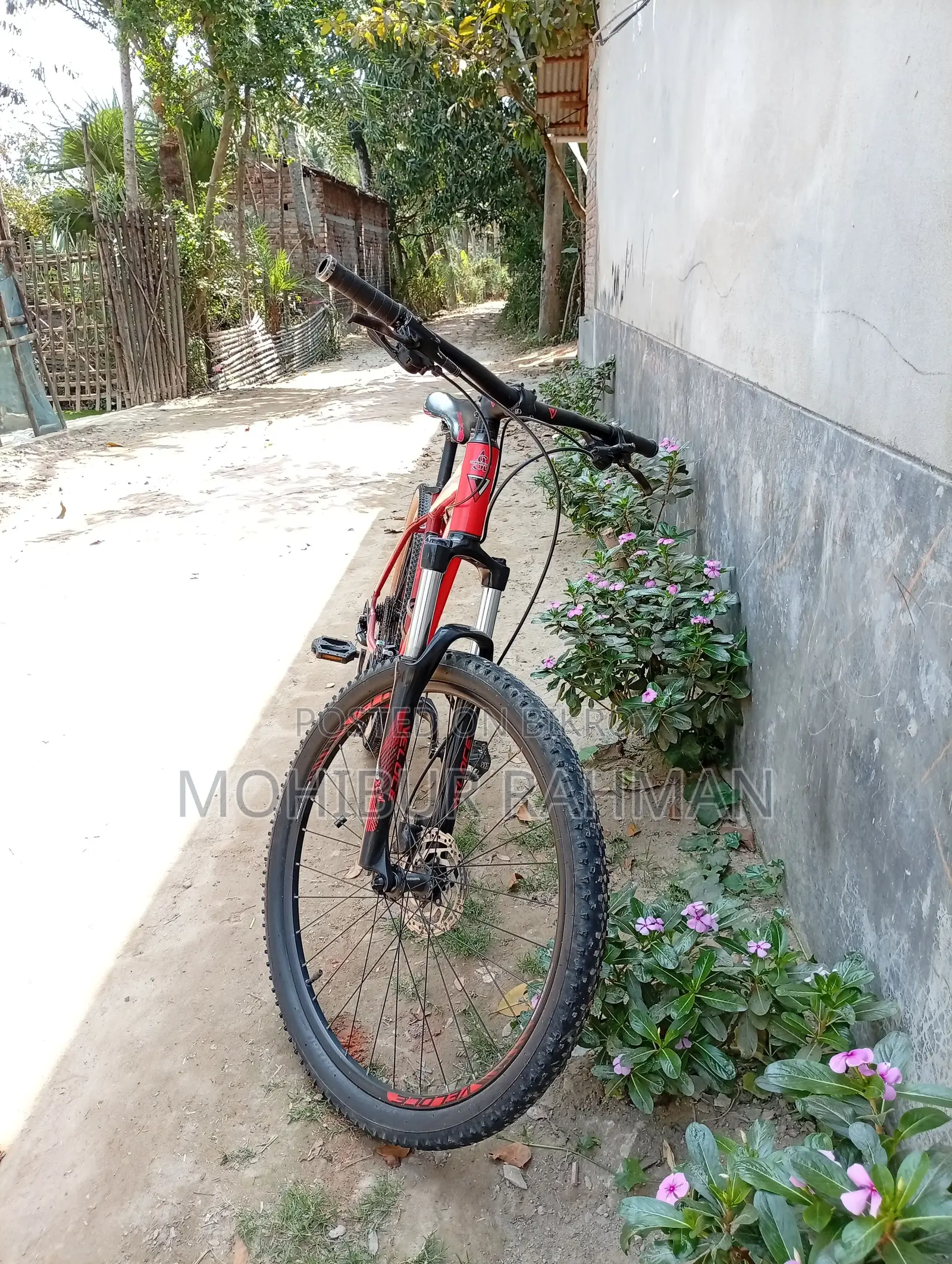 Veloce V300 for Sale
