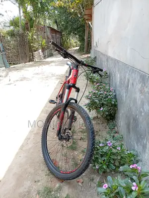 Veloce V300 for Sale