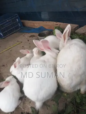 Selling 6 together