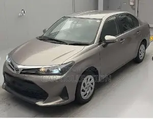 Toyota Axio EX 2022