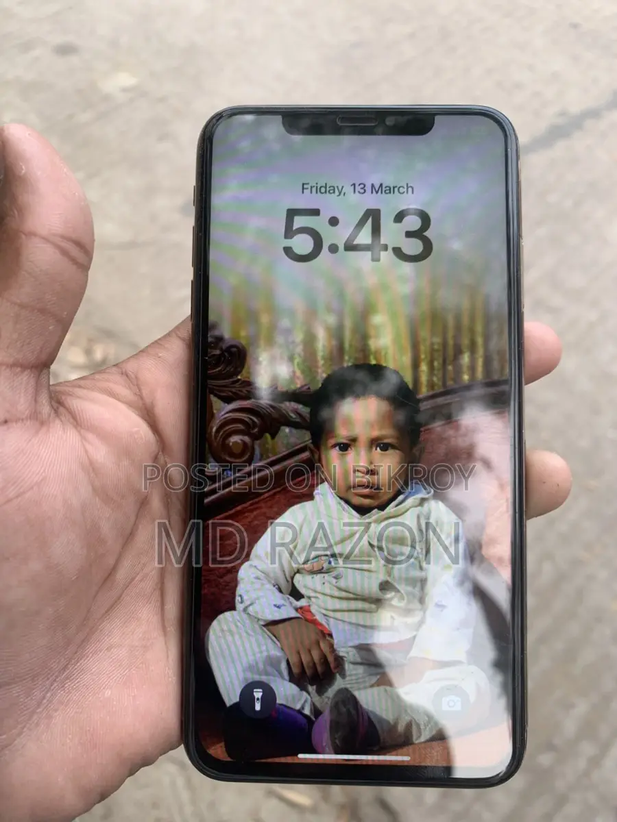 Apple iPhone XS Max (Used)