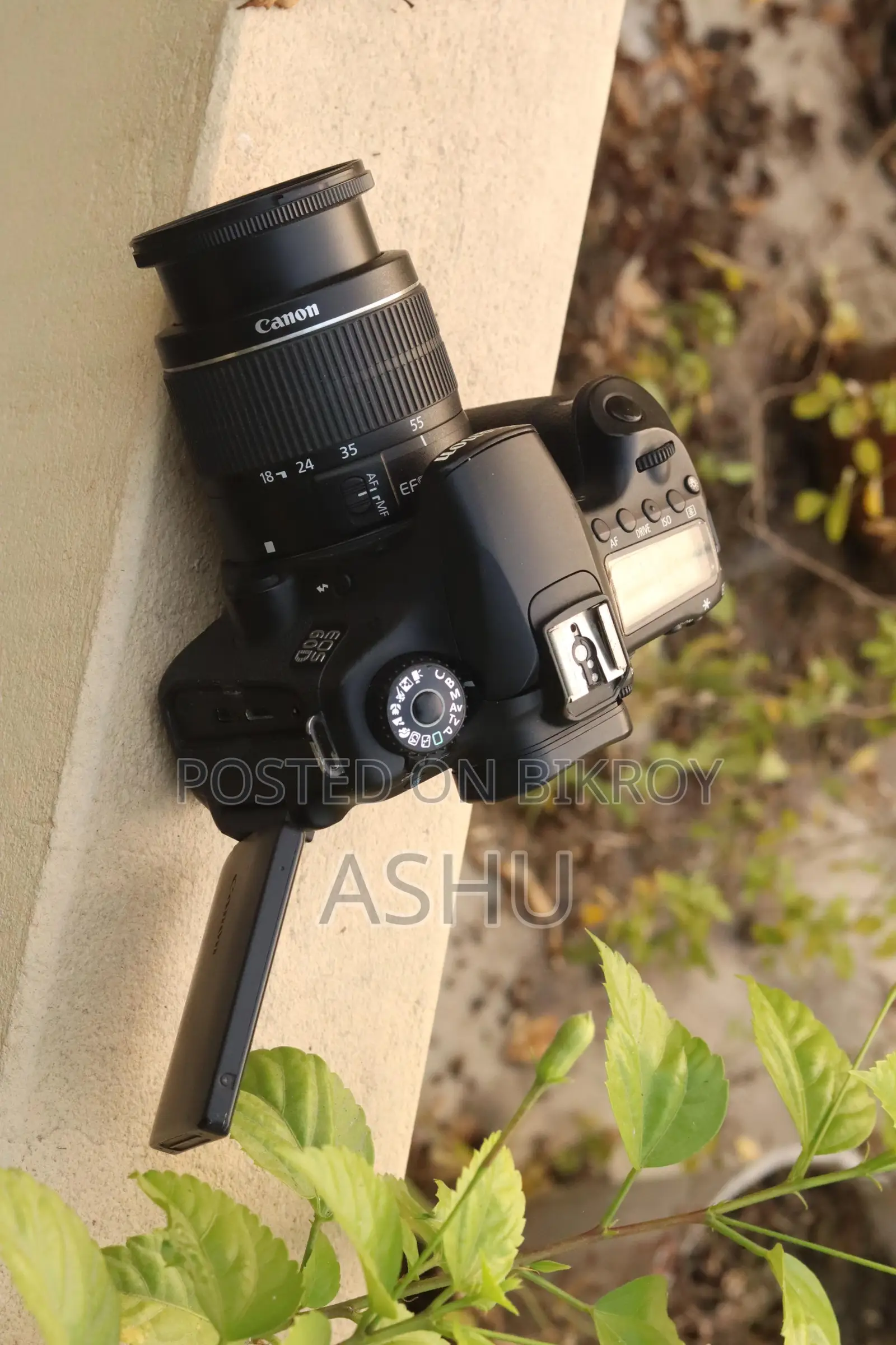 Cannon 60D Fresh