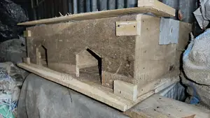 নতুন কবুতরের খোপ