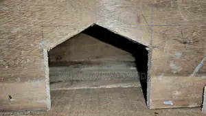 নতুন কবুতরের খোপ