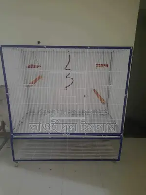 Bird Cage