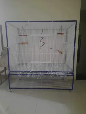 Bird Cage