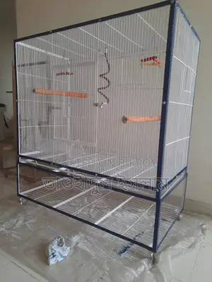 Bird Cage
