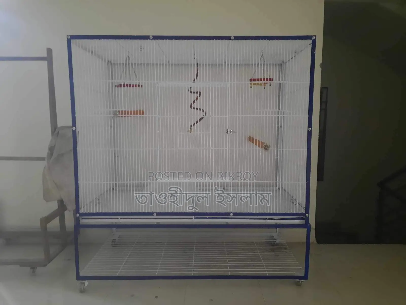 Bird Cage