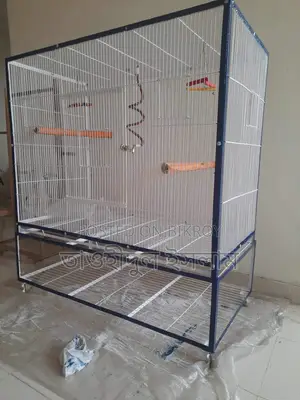 Bird Cage