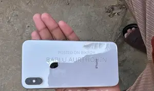 Apple iPhone X (Used)