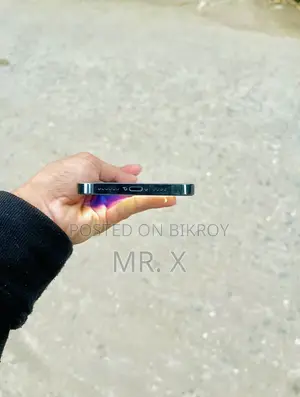 Apple iPhone 12 Pro Max (Used)