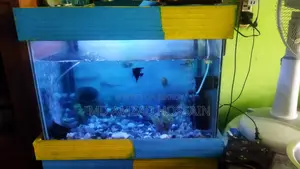 Excellent Aquarium