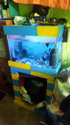 Excellent Aquarium