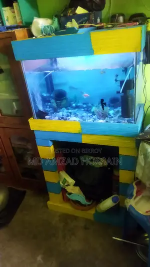 Excellent Aquarium