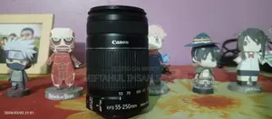 Canon EF-S 55-250mm f/4-5.6 IS II Lens