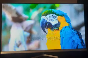 HP 22" borderless monitor