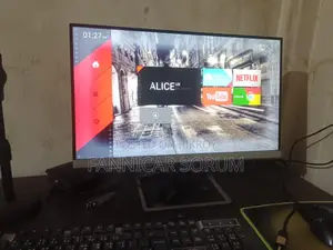 HP 22-inch Monitor