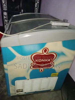 Fridge bikry