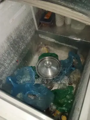 Fridge bikry