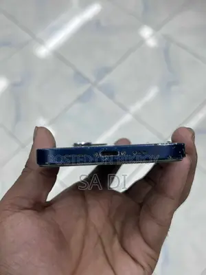 Apple iPhone 12 (Used)