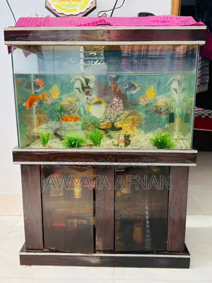 Aquarium সেট বিক্রি করা হবে।