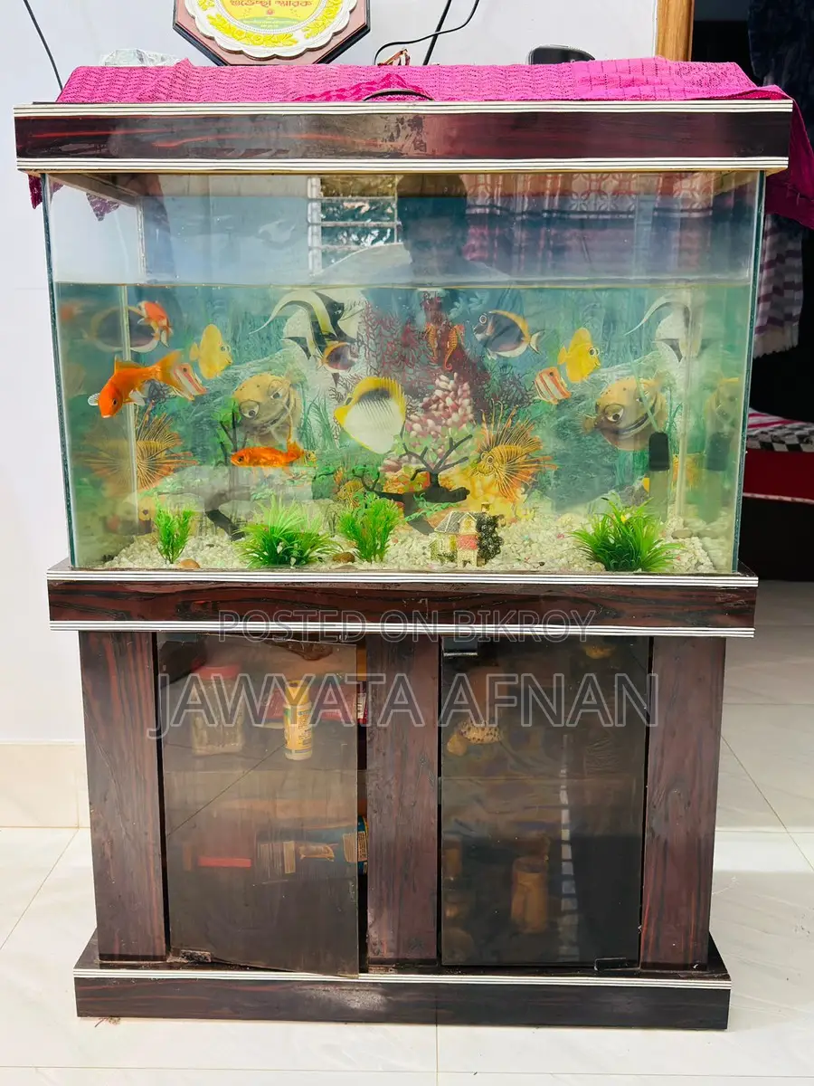 Aquarium সেট বিক্রি করা হবে।