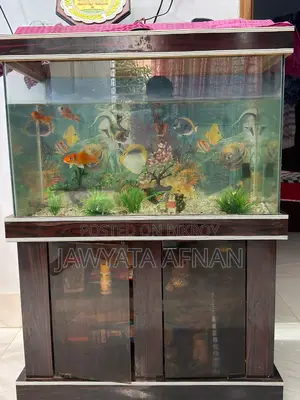 Aquarium সেট বিক্রি করা হবে।