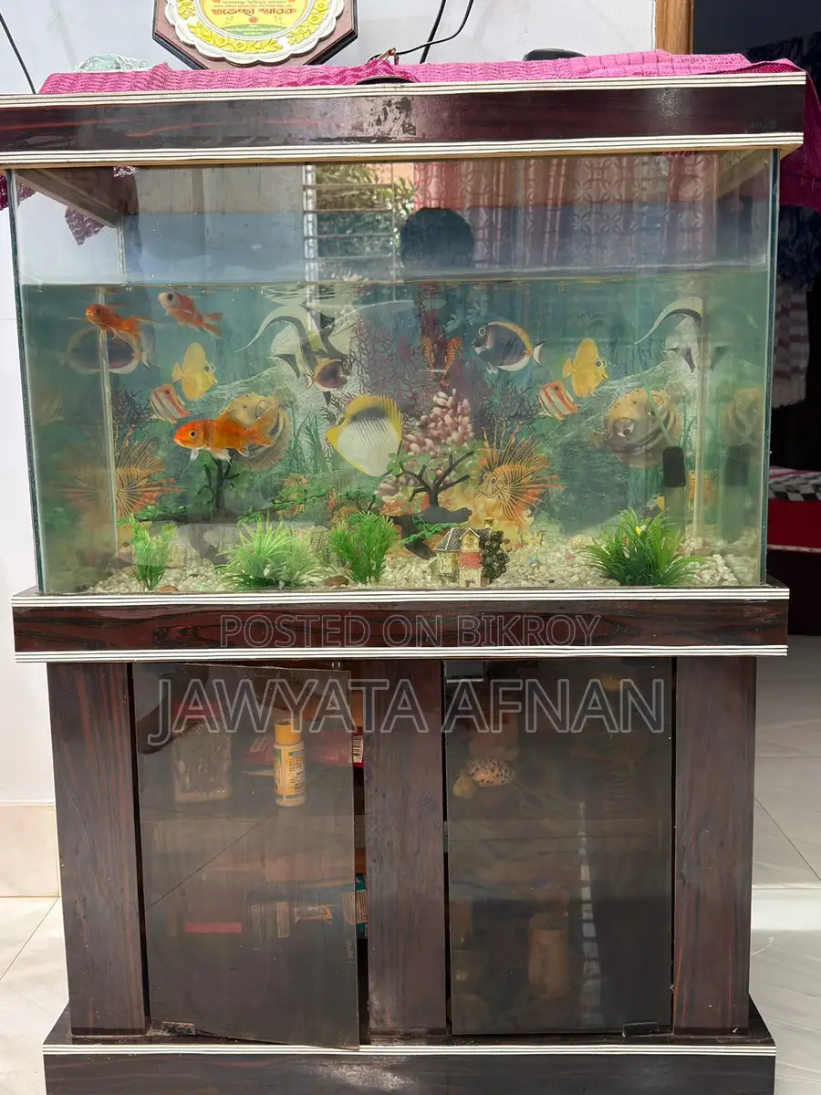 Aquarium সেট বিক্রি করা হবে।