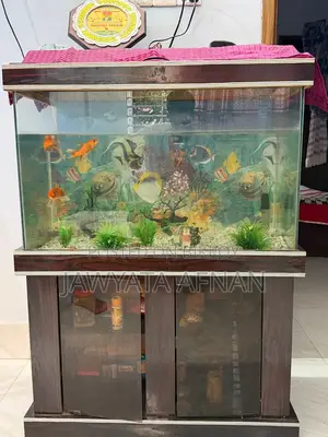 Aquarium সেট বিক্রি করা হবে।
