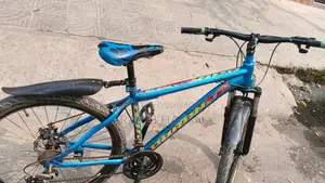 Duronto Gear Bicycle, 7/3 Shifter