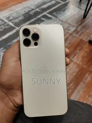 Apple iPhone 12 Pro (Used)