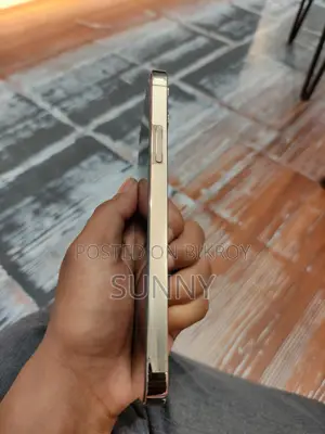 Apple iPhone 12 Pro (Used)
