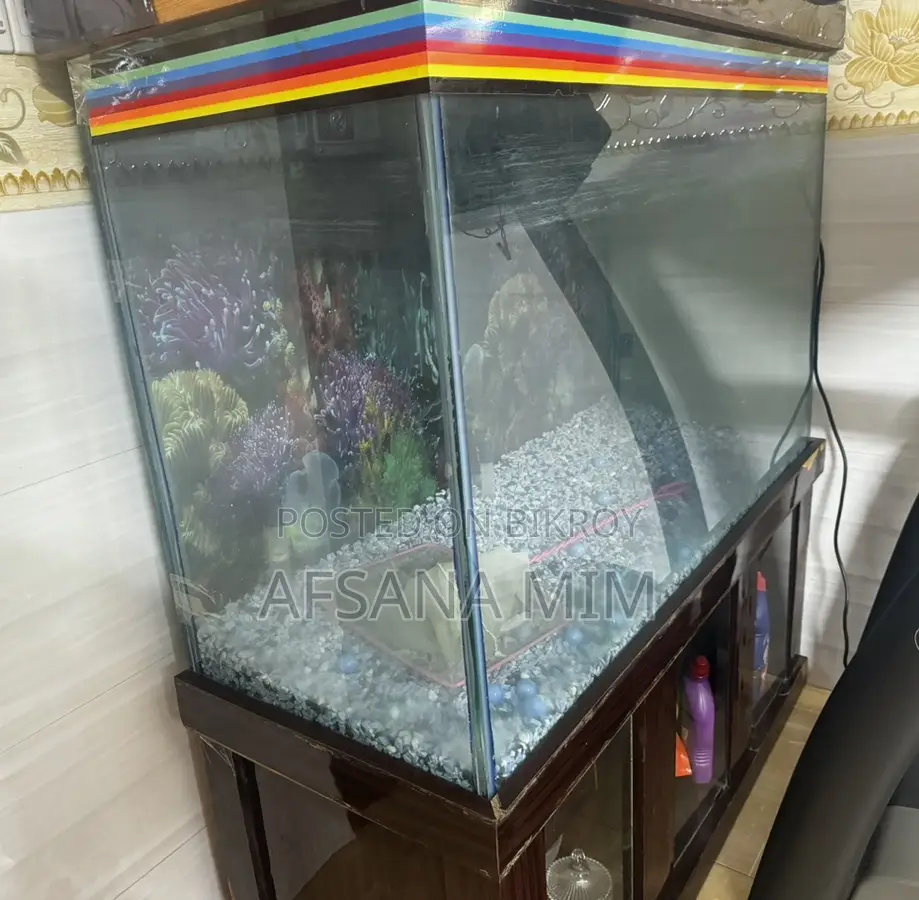 Fish Aquarium