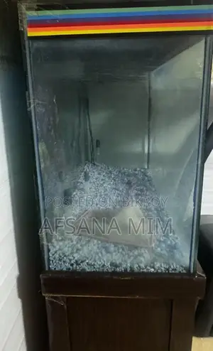 Fish Aquarium