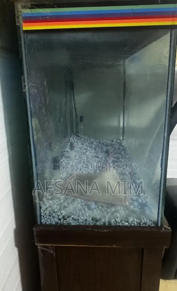Fish Aquarium