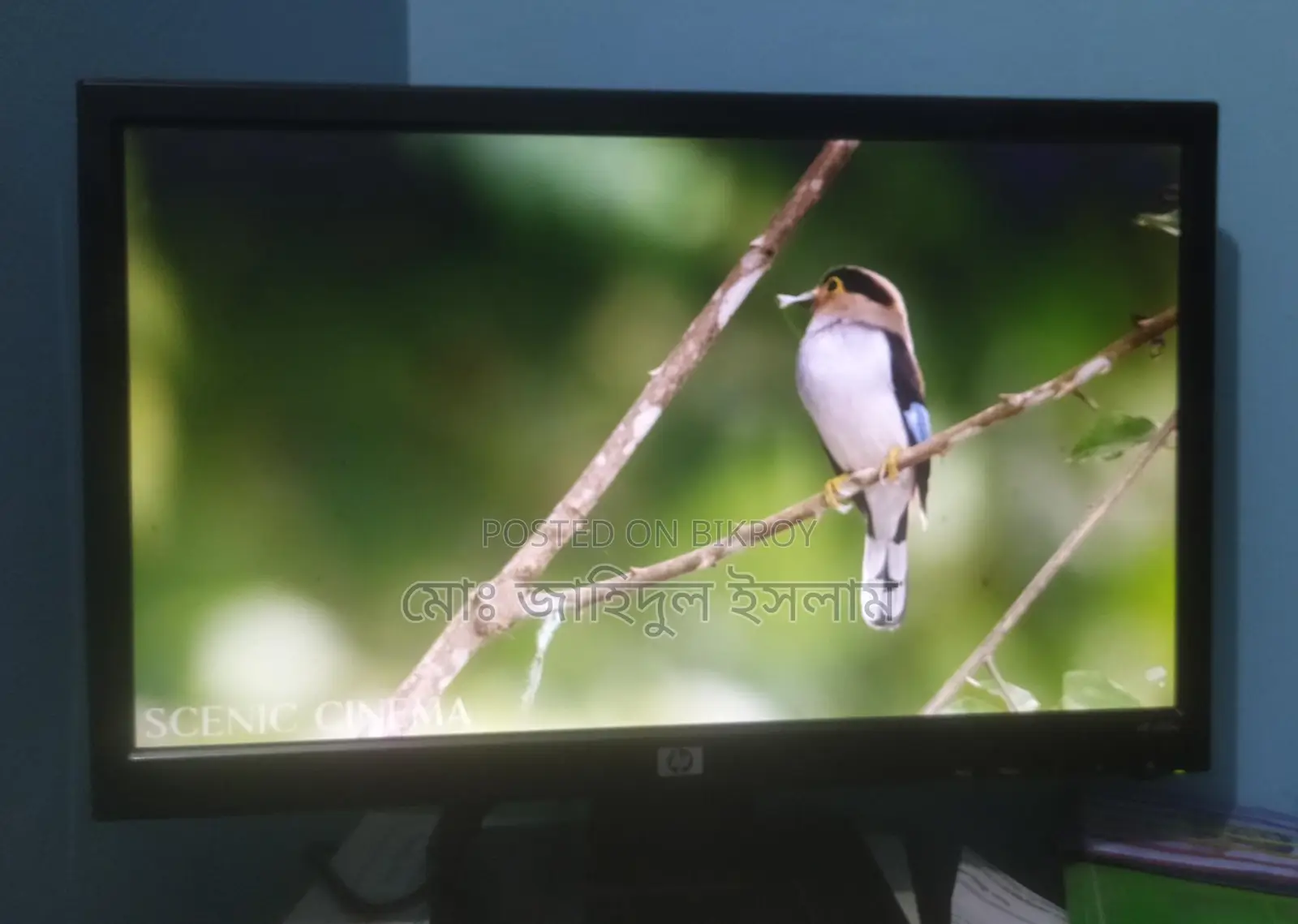 HP 20" Monitor