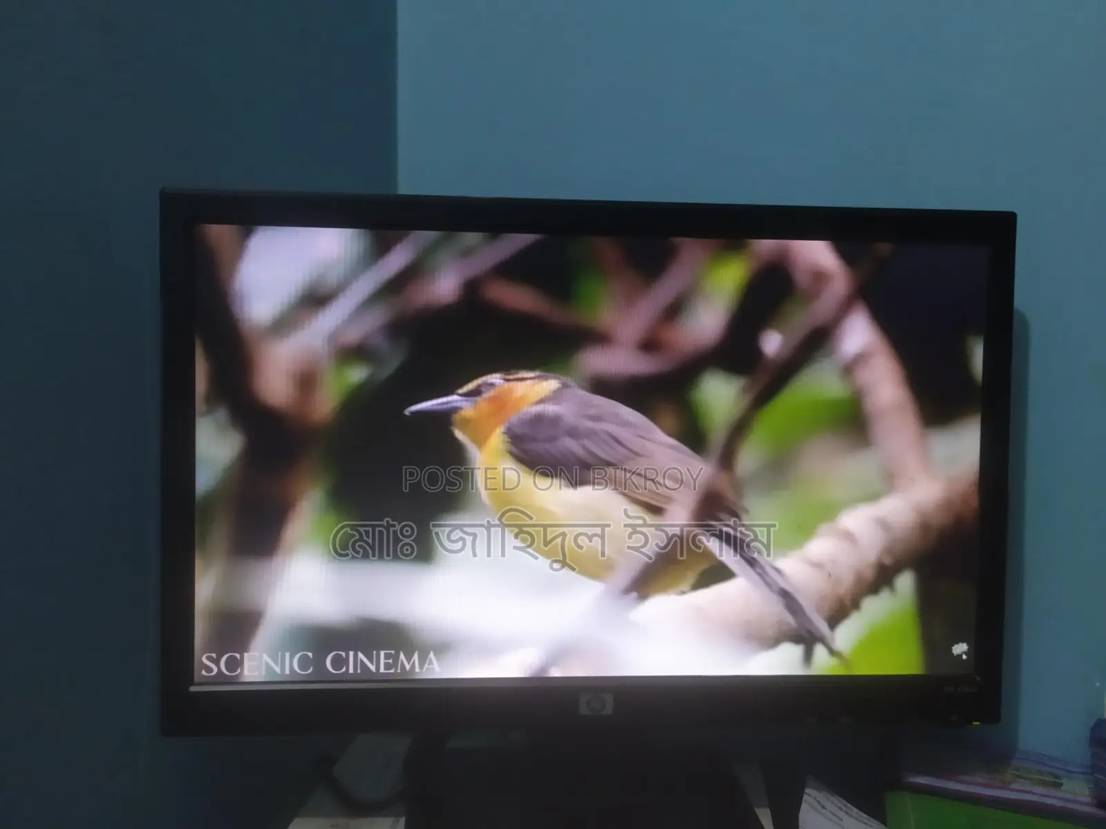 HP 20" Monitor