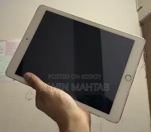 Apple iPad Air 2 Used