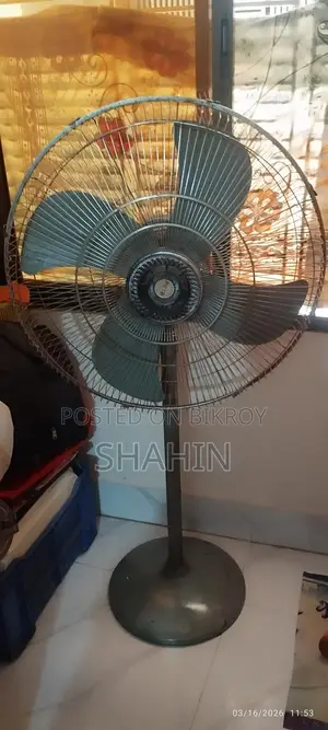Eastern Fan