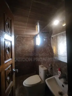 Luxury Fully Furnished Apartment