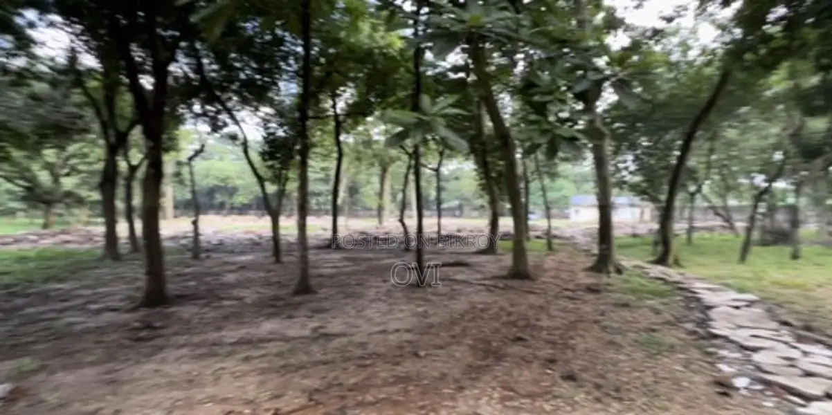 12 Bigha Land For Rent at Mawna, Gazipur