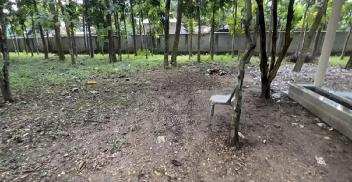 12 Bigha Land For Rent at Mawna, Gazipur
