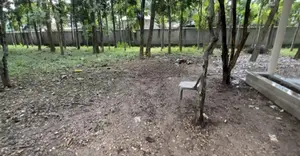 12 Bigha Land For Rent at Mawna, Gazipur