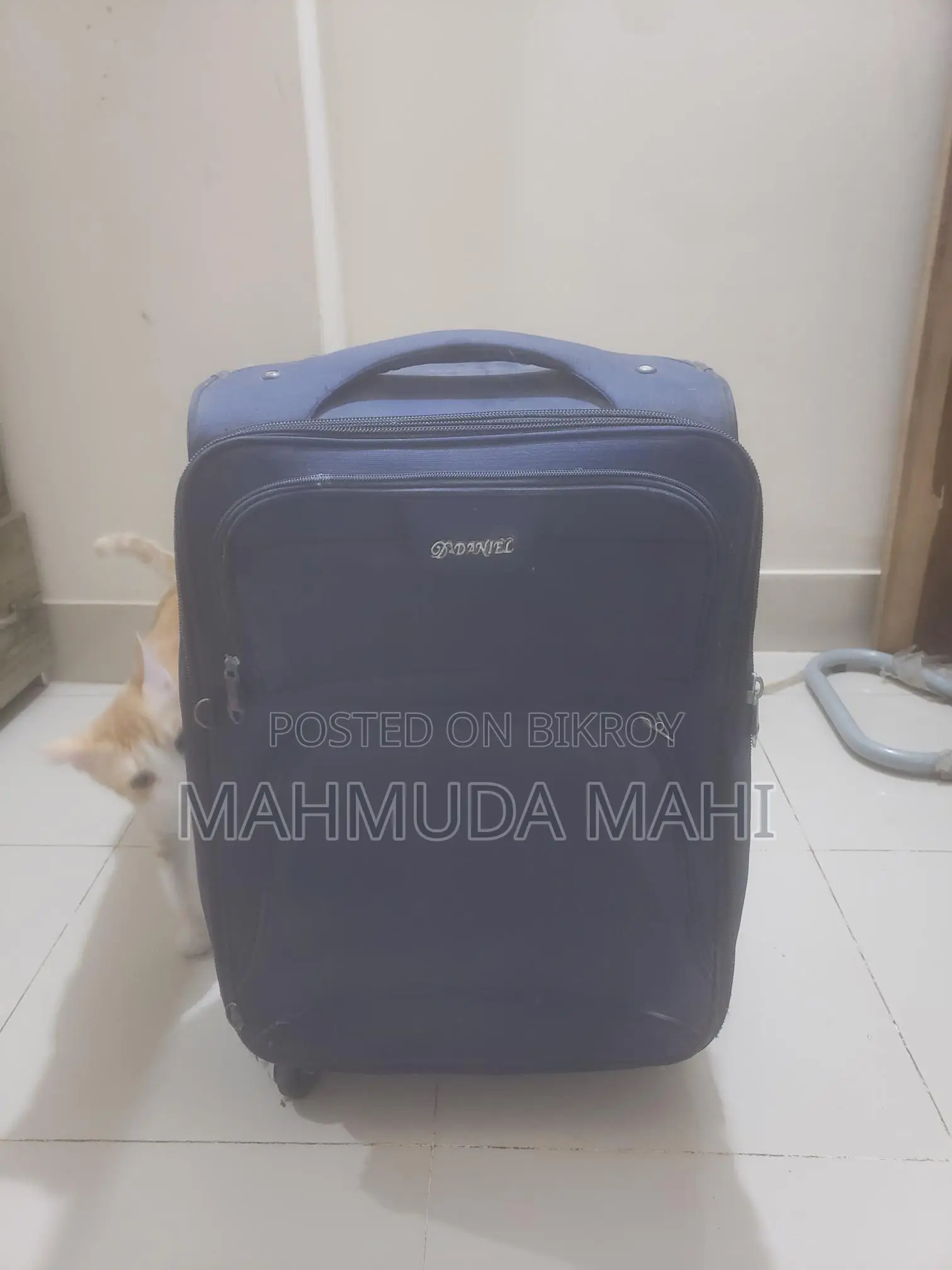 Trolley Bag
