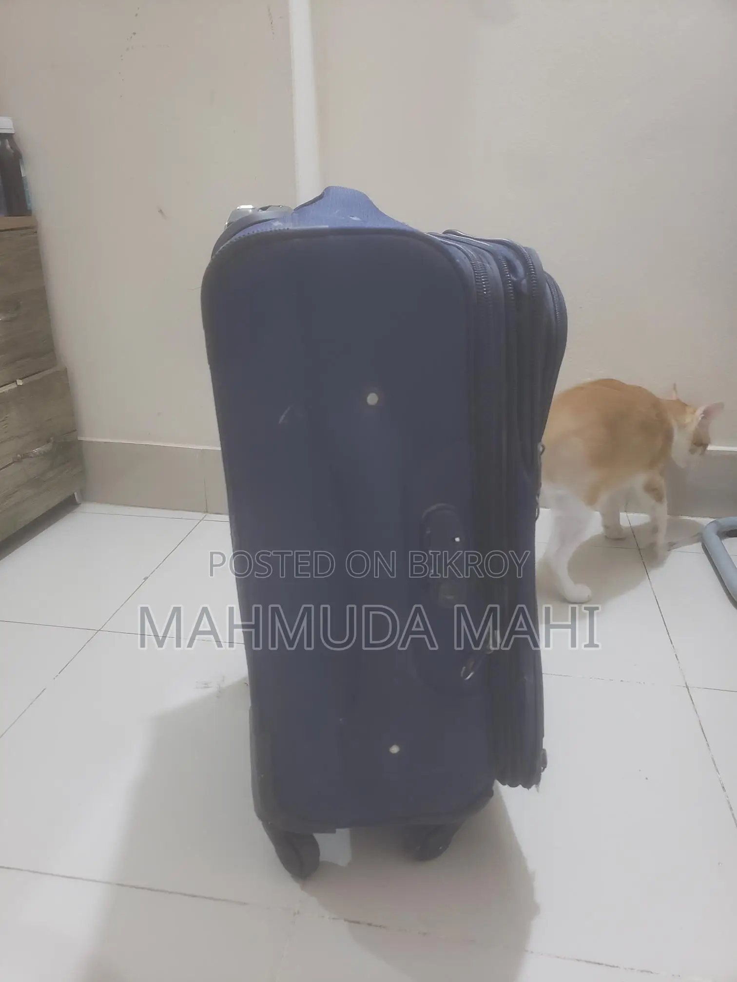 Trolley Bag